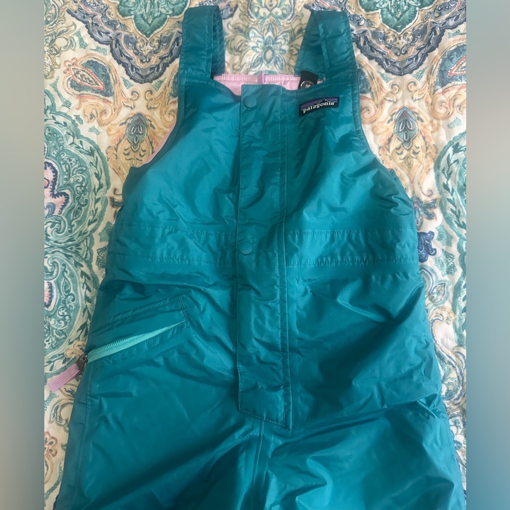 Patagonia Toddler’s  Snow Bibs Unisex